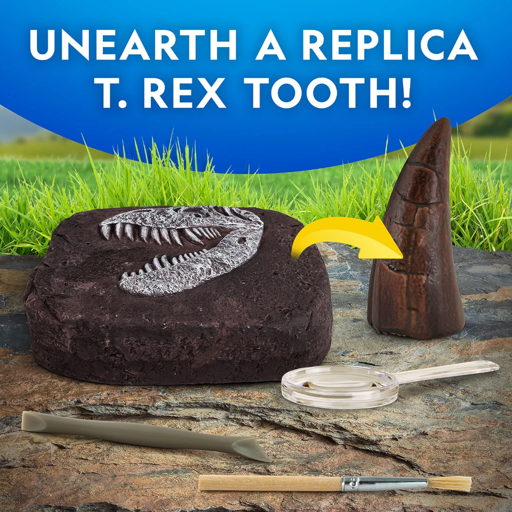 NG DINO FOSSIL DIG KIT - NATIONAL GEOGRAPHIC