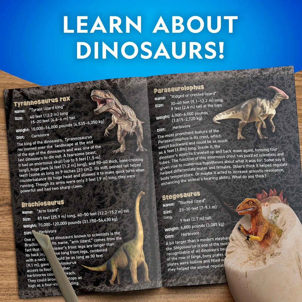NATIONAL GEOGRAPHIC Dino Egg Dig Kit – Excavate 2 Dinosaur Eggs