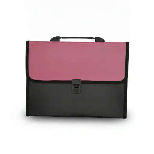 Briefcase File A4 1Pc