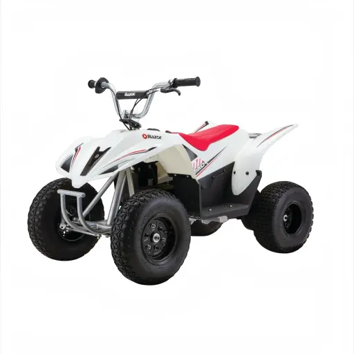 RAZOR DIRT QUAD 500 ELECTRIC ATV (500W, 15 KM/H, AGES 14+)