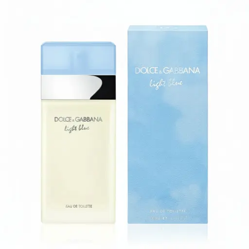 Dolce & Gabbana Light Blue Eau de Toilette for Women 100 ml